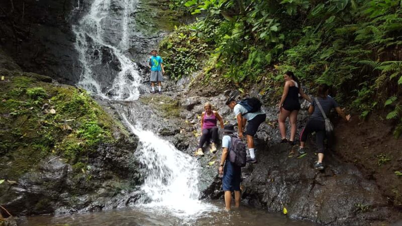 Koolau Waterfall Hike & Downhill Bike - Explore Hawaii’s Scenic Rainforests and Waterfalls for $175