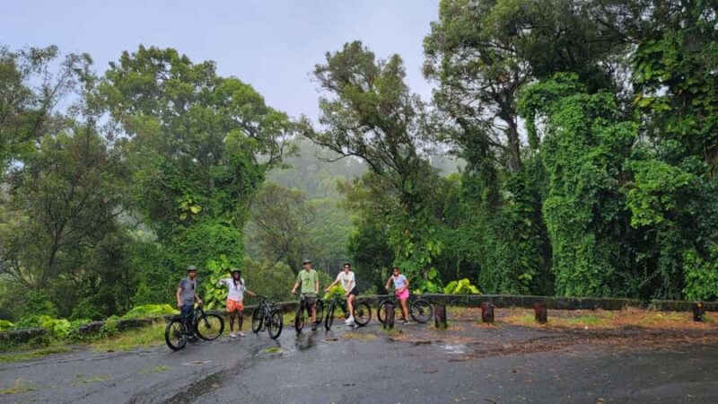 Koolau Waterfall Hike & Downhill Bike - The 5-Mile Downhill Bike Ride Through Puu Ohia