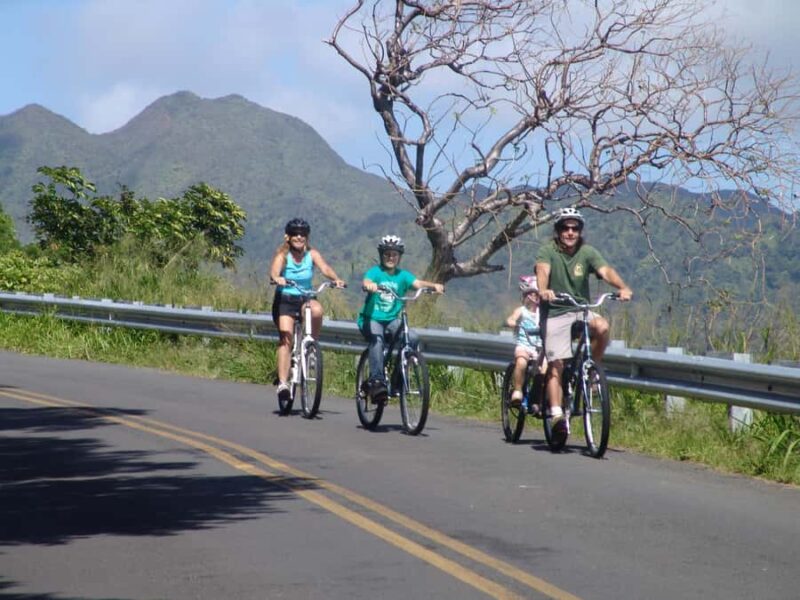 Koolau Waterfall Hike & Downhill Bike - Private Land Access and Natural Water Features