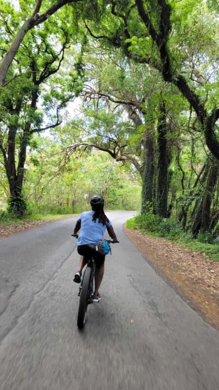 Koolau Waterfall Hike & Downhill Bike - Ideal for Active Families and Nature Enthusiasts