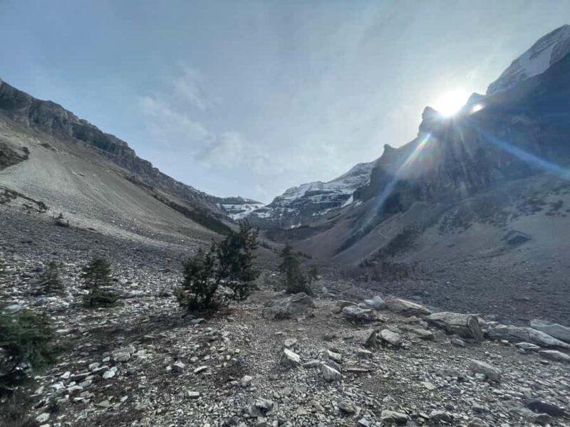 Kootenay National Park: Stanley Glacier Valley Tour - Discover the Beauty of Kootenay National Park on a Guided Hike