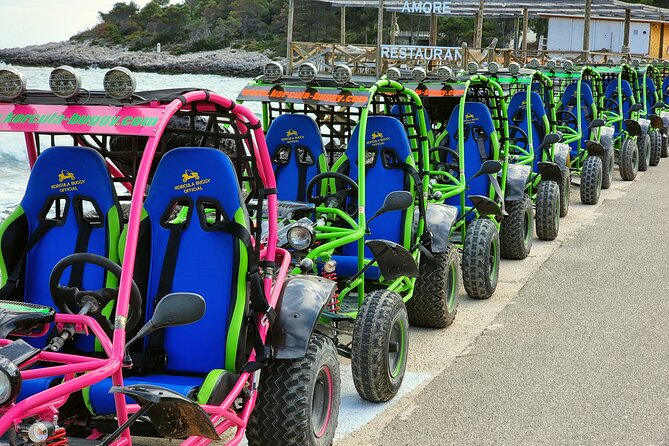 Korcula Atraction Buggy Safari Tour Adventures on Korcula Island - Visiting Lumbarda and the Autochthonous Vineyards