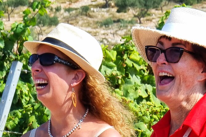 Korcula Atraction Buggy Safari Tour Adventures on Korcula Island - Practical Details and Booking Insights