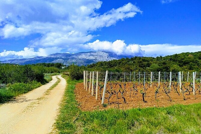 Korcula Bike & Wine Tour - Mountain Bike Tour - Key Points