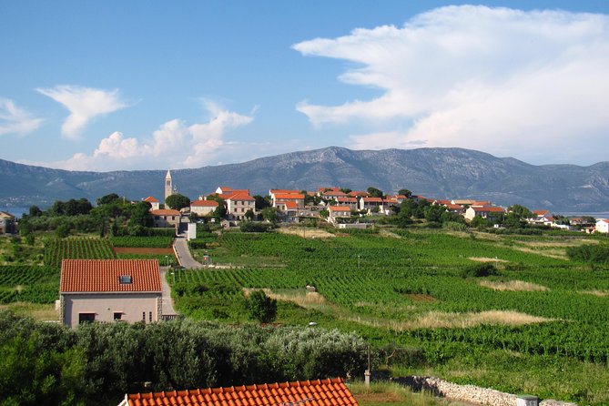 Korcula Bike & Wine Tour - Mountain Bike Tour - The Guide and Their Role in the Experience