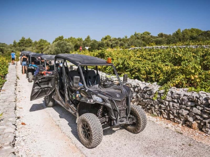 Korcula Buggy Safari With Wine Tasting - Visiting the Gnarled Vineyards of Greek Wine Grape Varieties