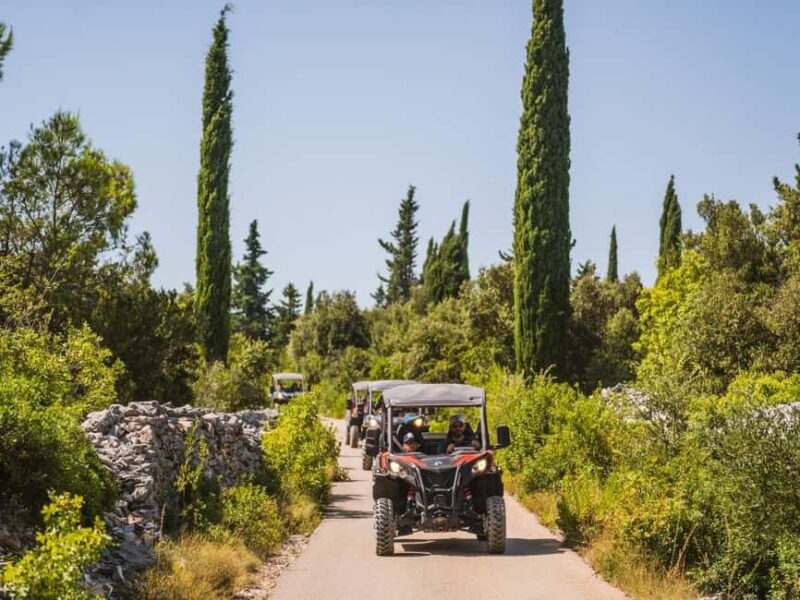 Korcula Buggy Safari With Wine Tasting - The Exciting Drive on Narrow Roads and Hills