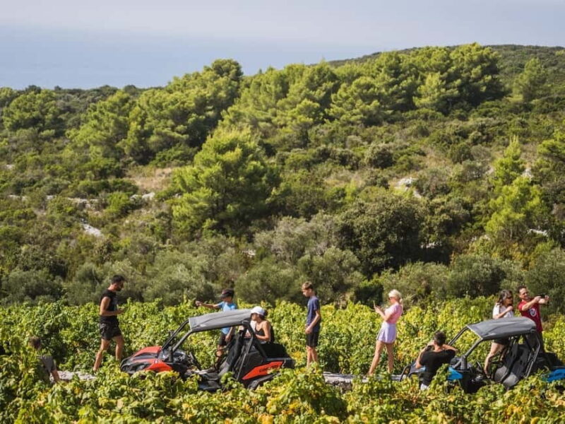 Korcula Buggy Safari With Wine Tasting - Booking, Flexibility and Important Considerations