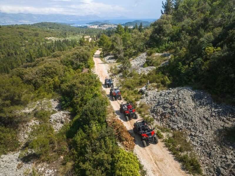 Korcula Buggy Safari With Wine Tasting - Customer Feedback and Practical Tips