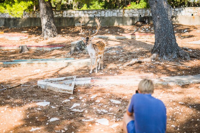 Korcula Islands Picnic Boat Tour - The Experience with the Crew: Knowledgeable and Friendly Guides