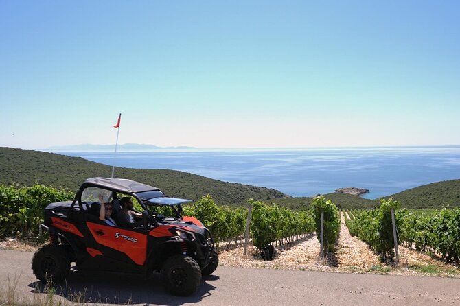 Korcula Snorkeling Private Tour - Snorkeling at Shipwrecks and Secluded Coves