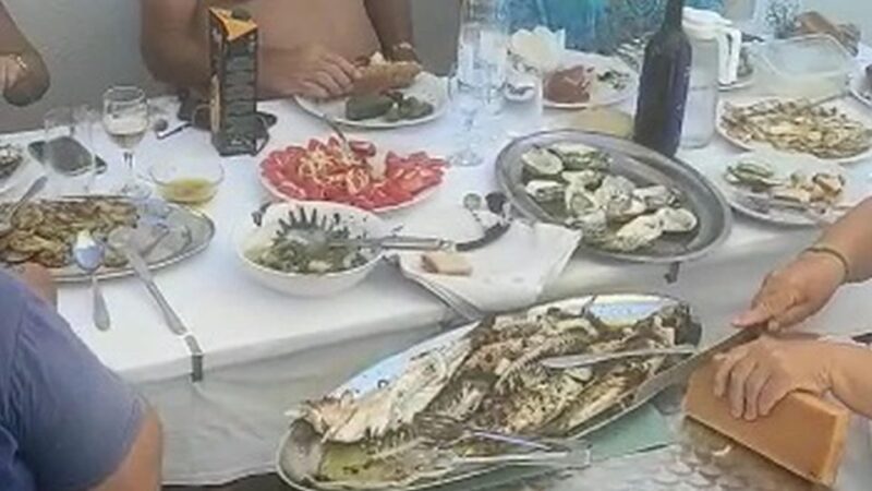 Korcula, Ston, Wine Tasting and Lunch - Tour from Dubrovnik - Lunch with Oysters, Mussels, and Grilled Fish in a Village House