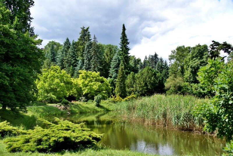 Kornik Castle and Rogalin Palace Half-Day Private Tour - Exploring Kornik Arboretum: Poland’s Oldest Botanical Treasure