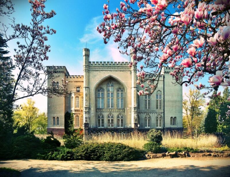 Kornik Castle and Rogalin Palace Half-Day Private Tour - Rogalin Palace: Baroque Elegance and Ancient Oaks