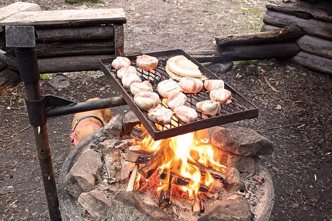 Korouoma Canyon: Frozen Waterfalls Hike & BBQ Experience - The 3-Hour BBQ and Rest Period in Korouoma Canyon