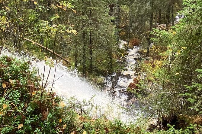 Korouoma Canyon: Frozen Waterfalls Hike & BBQ Experience - Return Journey and Group Size