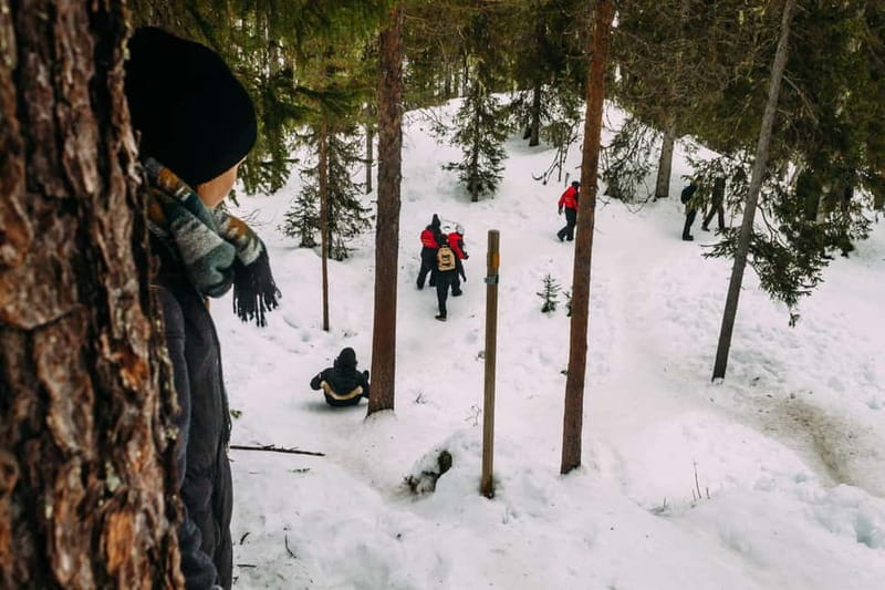 Korouoma Canyon: Frozen Waterfalls Hike & BBQ Experience - Key Points