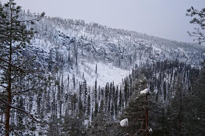 Korouoma Canyon & Ranua Zoo Tour - Key Points