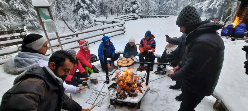 Korouoma Frozen Waterfalls - A Fairy Loop Hike at Canyon - Scenery and Wildlife of the Taiga Forest