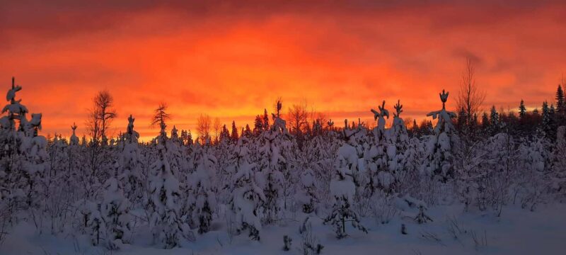Korouoma Frozen Waterfalls - A Fairy Loop Hike at Canyon - Practical Details: Logistics and Preparation