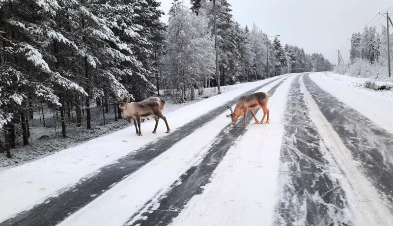 Korouoma Frozen Waterfalls - A Fairy Loop Hike at Canyon - The Sum Up: An Authentic Arctic Winter Experience