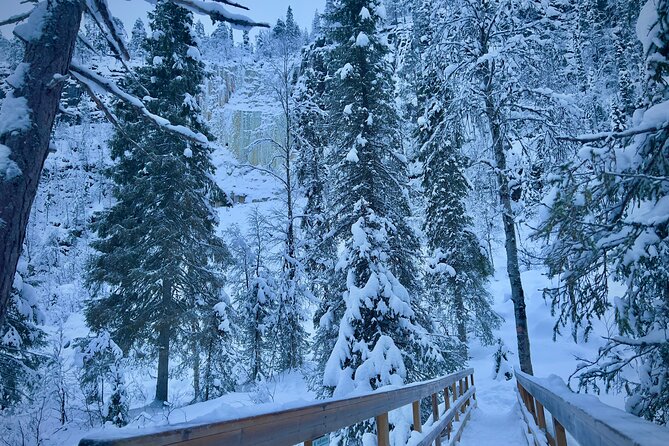 Korouoma Frozen Waterfalls Hiking Tour - Authentic Lapland Cuisine: The Barbecue Lunch