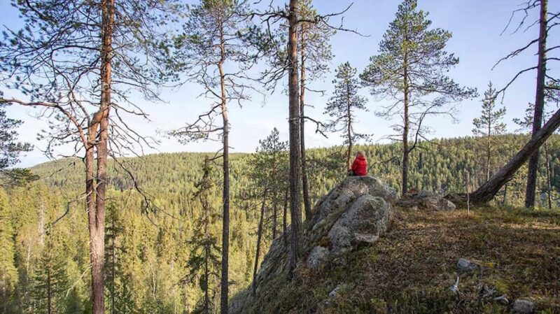 Korouoma national park Autumn hiking tour - Relaxing Campfire and Tasty Snacks