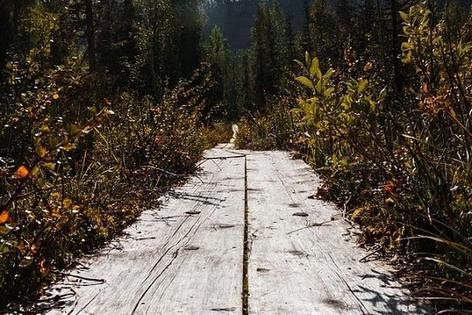 Korouoma National Park & Frozen Waterfalls Adventure - Korouoma National Park: The Heart of the Adventure