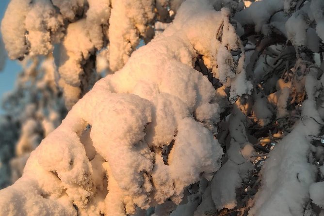 Korouoma National Park & Frozen Waterfalls Adventure - The Guide: Knowledgeable and Friendly