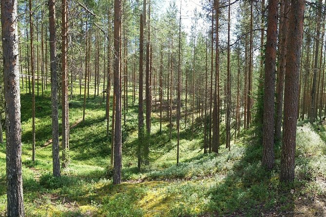 Korouoma National Park & Frozen Waterfalls Adventure - Weather and Cancellation Policies