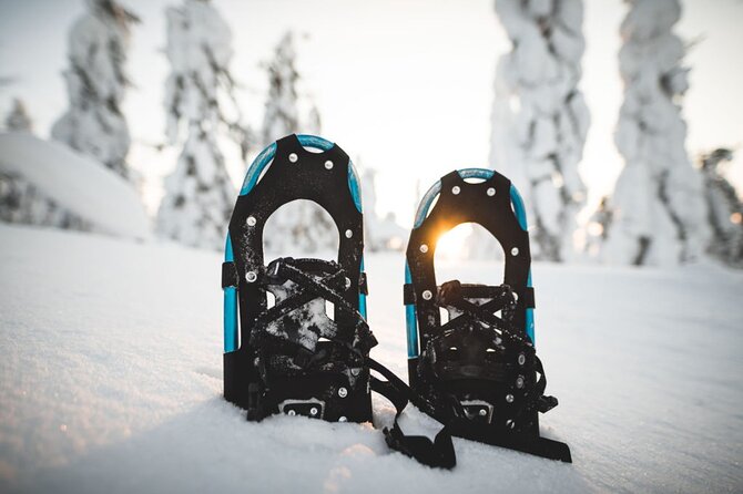 Korouoma National Park & Frozen Waterfalls - Explore Korouoma National Park with a Guided Hike from Rovaniemi