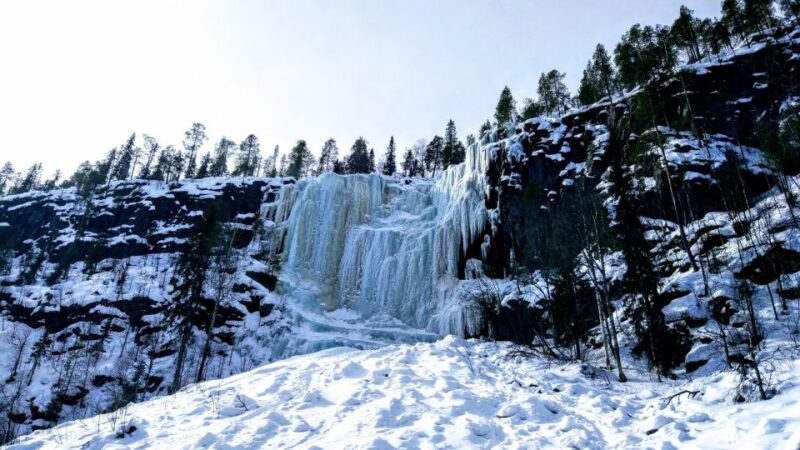 Korouoma National Park Guided Hike with Snacks - Wildlife Encounters: Reindeer, Moose, and a Red Fox