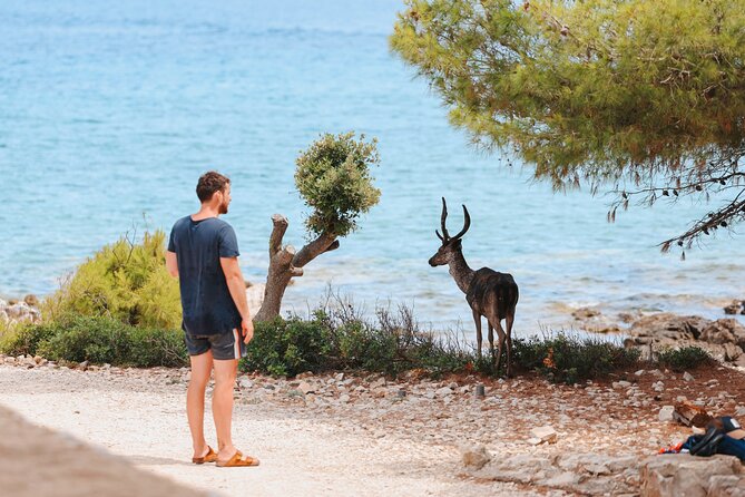 Korula & Lumbarda Islands Boat Tour with Snorkeling & Shipwreck - The Charm of Glamping Tents at Beach Camp Adriatic