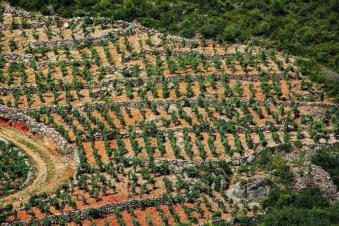 Korula & Ston: Island Charms, Peljeac Delights & Wine Tasting - Practical Details and Tour Logistics