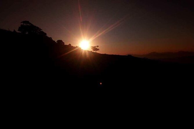 Kos 4x4 Sunset Safari Tour - Returning with a Drive Through Koss Nighttime Streets