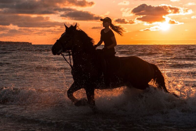 Kos: Horse Riding Experience on the Beach with Instructor - Riding Along the Shoreline: The Main Activity Itinerary