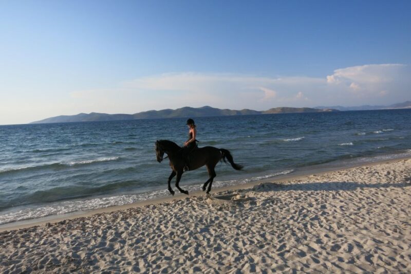 Kos: Horse Riding Experience on the Beach with Instructor - The Stops for Photos and Scenic Appreciation
