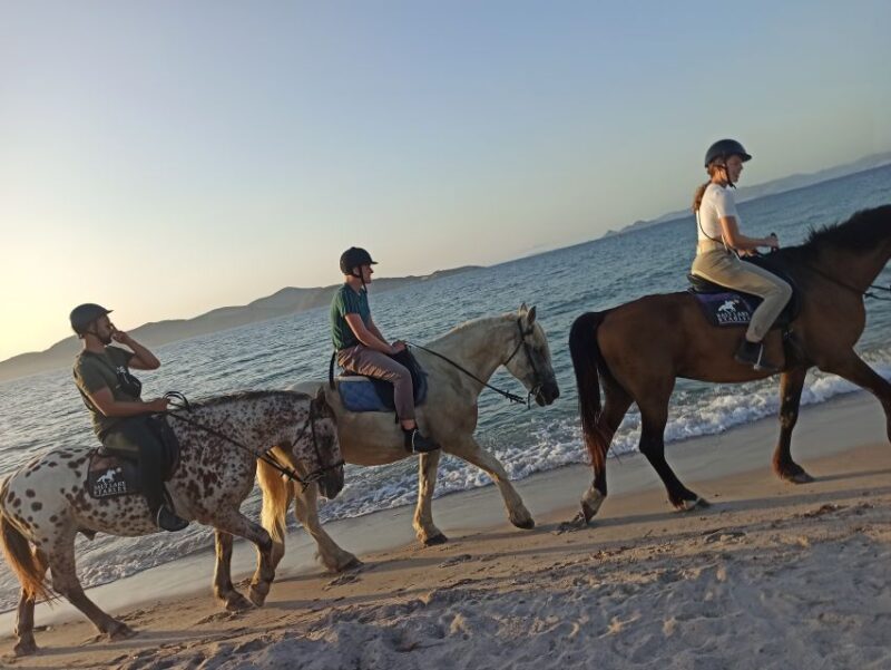 Kos: Horse Riding Experience on the Beach with Instructor - Practical Details: Logistics, Group Size, and What to Bring