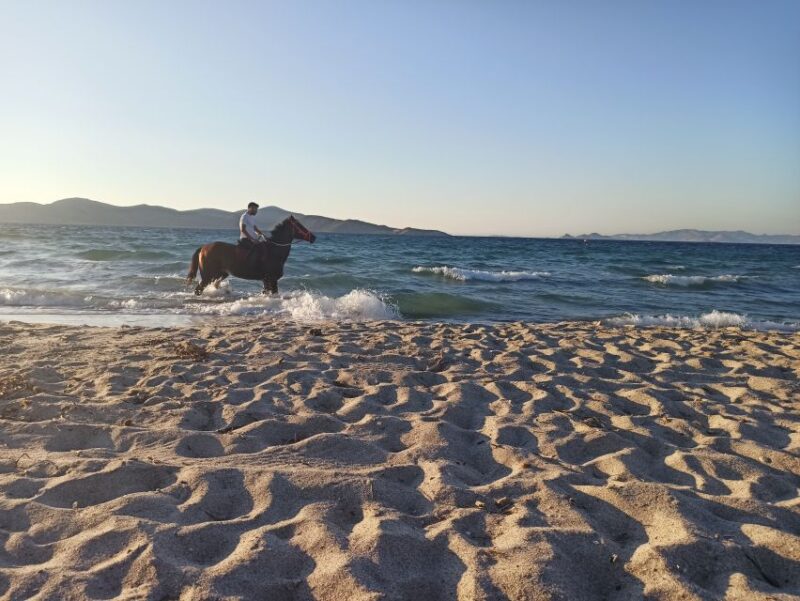 Kos: Horse Riding Experience on the Beach with Instructor - Why This Tour Stands Out in Kos