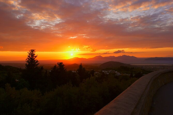 Kos Local Tasting - Wine, Oil & Honey - Olive Oil Tasting at a Greek Olive Oil Factory