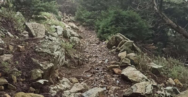 Kos: Moderate Hiking Tour on Dikaios Mountain - Exploring Mount Dikaios: The Highest Peak in Kos