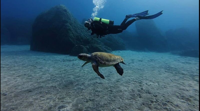 Kos: Scuba Diving Experience with Hotel Pickup - The Logistics of a Short but Focused Dive