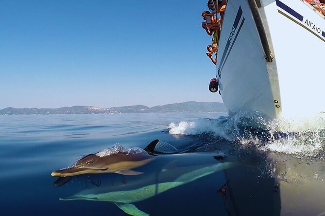 Kos: Small Group Full-Day Sailing with Meal, Drinks, & Swim - The Crew’s Service and Personal Touch