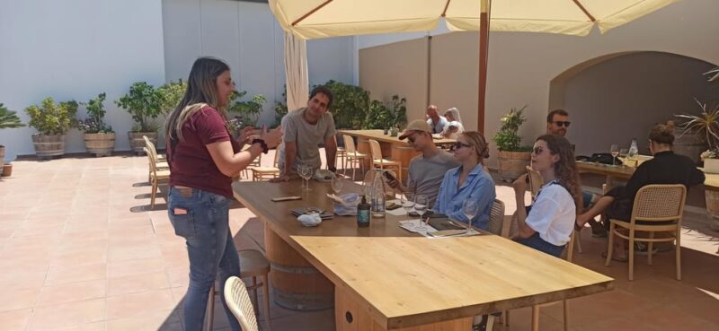 Kos: Wineries Tour w/ Wine Tastings & Transportation - Pacing, Duration, and Group Size