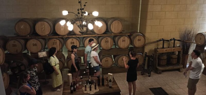 Kos: Wineries Tour w/ Wine Tastings & Transportation - Concluding the Kos Wineries Tour Experience