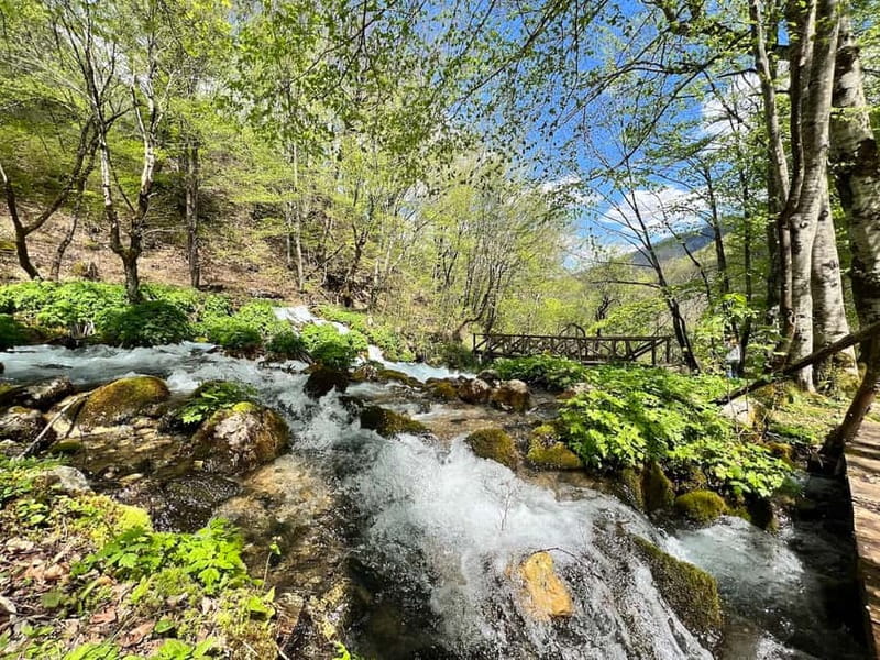 Kotor: Durmitor, Black Lake & Djurdjevica Tara Bridge Tour - Djurdjevica Tara Bridge: Engineering Marvel and Spectacular Viewpoint