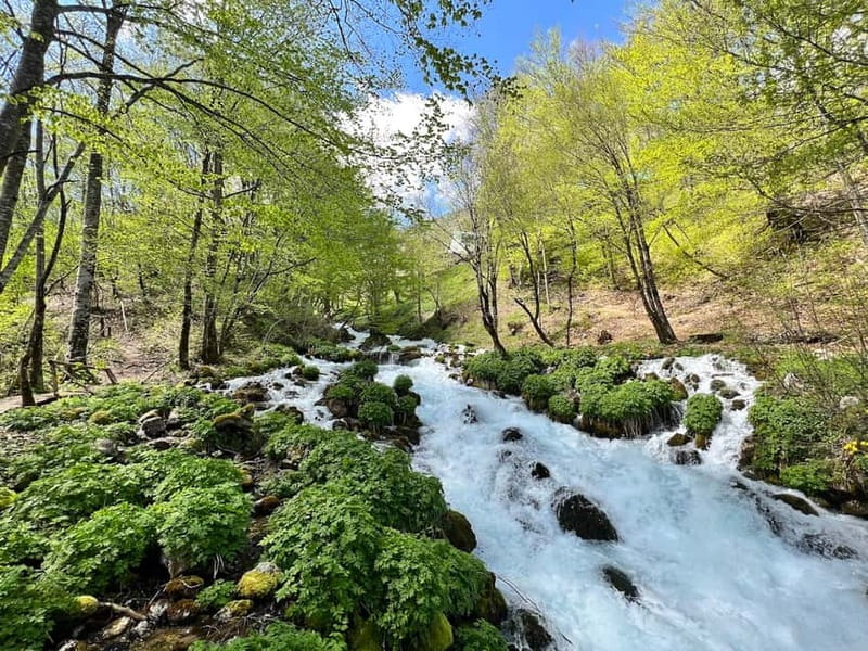 Kotor: Durmitor, Black Lake & Djurdjevica Tara Bridge Tour - The Zip-Line Experience Above Tara Canyon