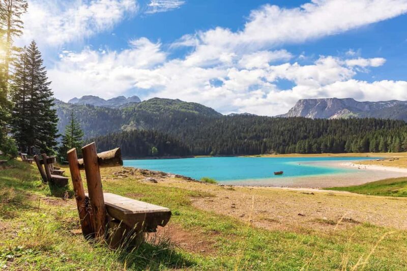 Kotor: Durmitor National Park & Tara Bridge Day Trip - Key Points