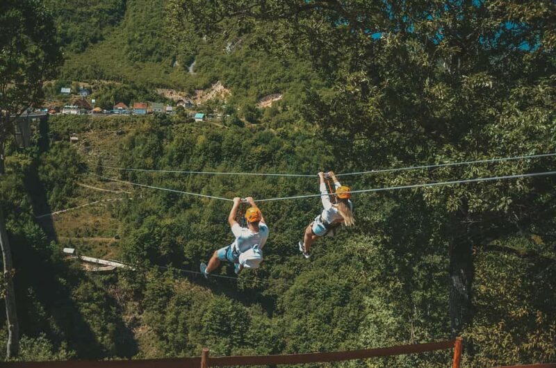 Kotor: Durmitor National Park & Tara Bridge Day Trip - Physical Requirements and Considerations