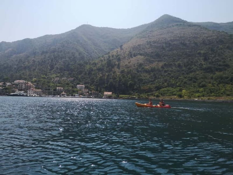 Kotor: Guided Kotor Bay Kayaking Tour - Explore Kotor Bay by Kayak with an Expert Guide
